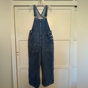 Everlane The Gardener overalls In Denim size medium like new